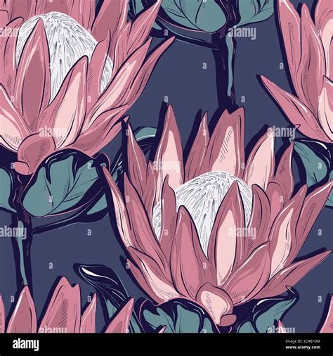 Protea Seamless Pattern Design Hand Drawn Big Flower Sketch Botanical