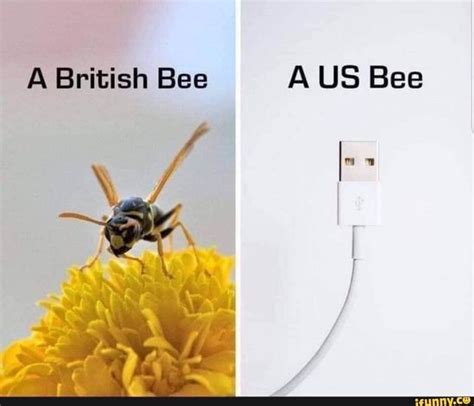13 Funny Bee Memes Asmarlianna