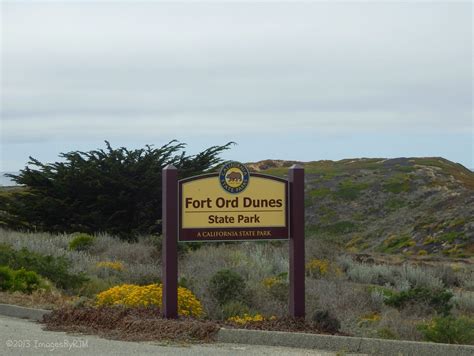 Pin On Fort Ord Dunes State Park