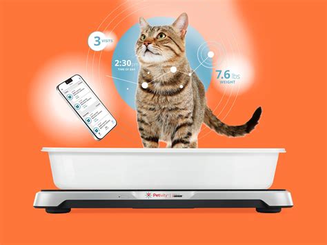 Petivity Smart Litterbox Monitor Review Helpful Health Alerts Wired