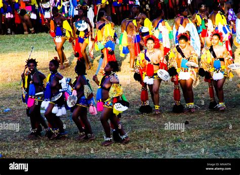 women in traditional costumes dancing at the umhlanga aka reed dance for their king 01 09 2013