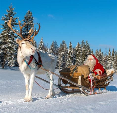 Santa Claus Reindeer Sleigh Ride At Ritavaara In Pello In Lapland Christmas Scenery Christmas