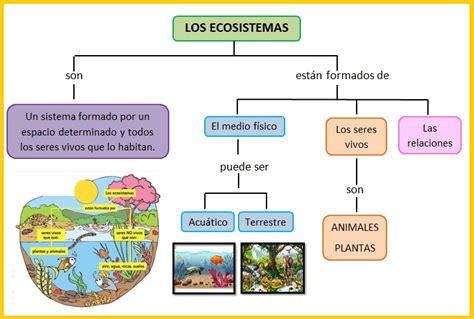 Mi Clase De Primaria Tema 4 Los Ecosistemas