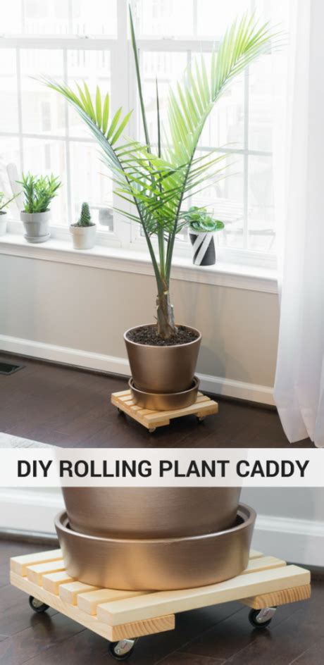 Diy Rolling Plant Caddy Tutorial Plants Woodworking Projects Diy