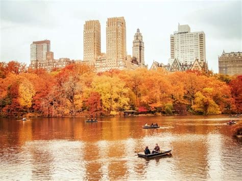 New York Weather In November Forecasts To Plan Your Nyc Trip