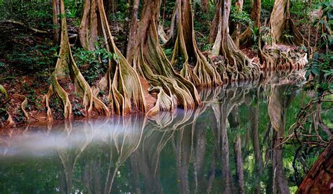 Start your morning with our daily online jigsaw puzzles. Indian River Jigsaw Puzzle