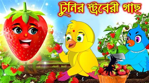 টুনির স্ট্রবেরী গাছ Tunir Strawberr Gach Bangla Cartoon Thakurmar