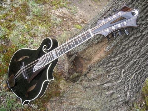Michelina Model V Mandolin Mirabella Guitars
