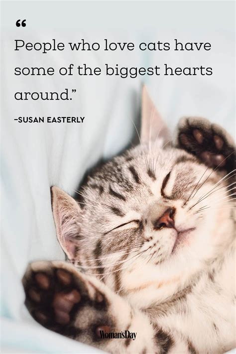Quotes For Loss Of Pet Cat Motivational Qoutes