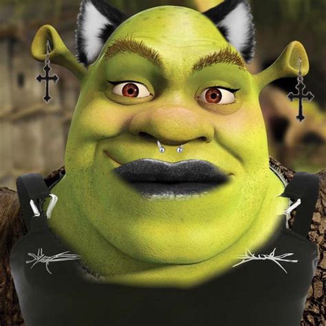 E Boy Shrek In 2021 Shrek E Boy Makeup Princess Fiona