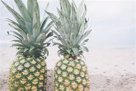 Free Images Beach Sand Food Produce Botany Pineapple Tropical