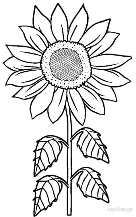 Are you looking for some interesting painting activities for kids that will capture your child's imagination, while helping him hone his artistic skills? Simple Sunflower Drawing | Free download on ClipArtMag