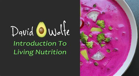 David Avocado Wolfe Introduction To Living Nutrition Uexl Institute