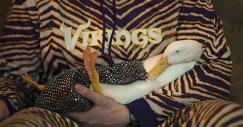 St Paul Duck Becomes Viral Sensation
