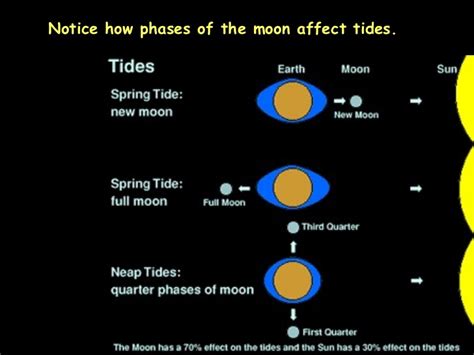 Start studying moon phases quiz. Class Oracle Media - Earth Science