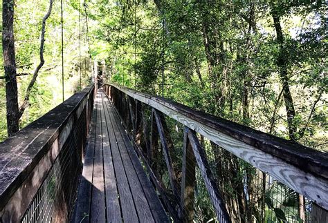 Ravine Gardens State Park Suspension Bridges And More Jacksonville
