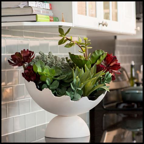 indoor succulent planters | http://lomets.com