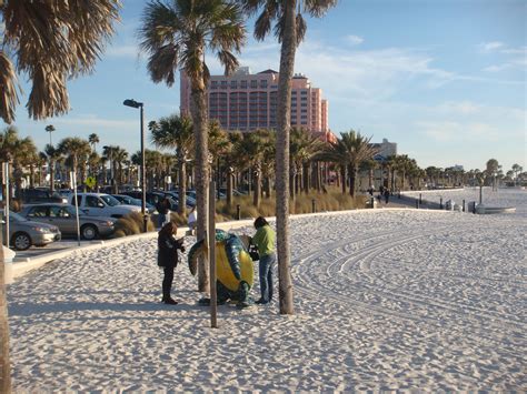 Photo Gallery Clearwater Beach Com
