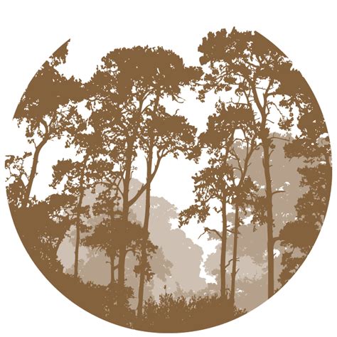 Vector Graphics Illustration Forest Landscape Silhouette Png Download