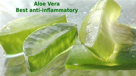 Anti Inflammatory Supplements Best Anti Inflammatory Supp And Food