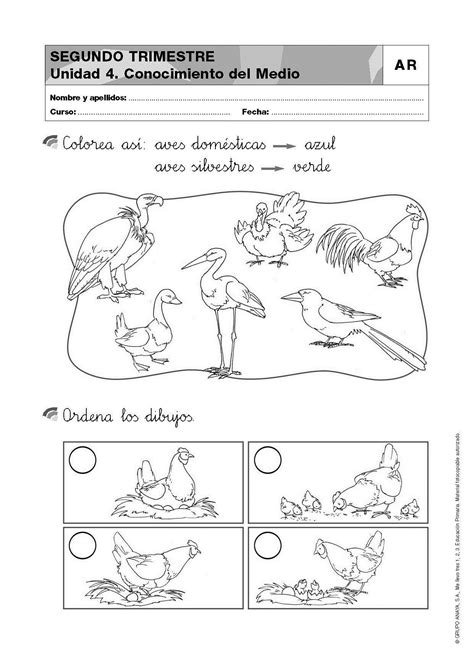 Resultado De Imagen Para Actividades De Ciencias Naturales Para Primer