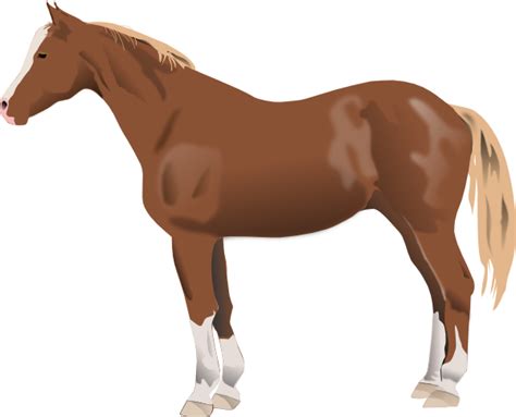 Horse Clip Art At Vector Clip Art Online Royalty Free