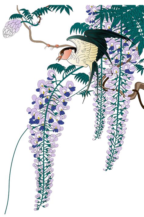 Japanese Wisteria And Bird Clipart Free Download Transparent Png