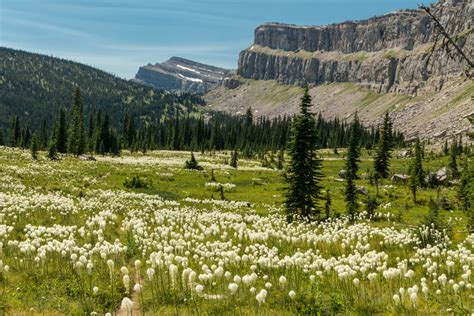 Flathead National Forest Montana Discovering Montana