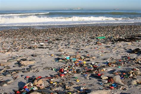 Plastic Pollution Piling Into Our Oceans Mcdaniel