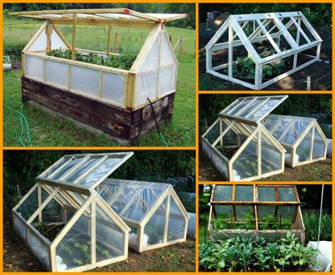 After we built the greenhouse at home, the portable greenhouses were transferred to the allotment where they did a sterling job for a season, standing by the shed to which they were. With this DIY project you can extend your growing season. Build your own mini greenhouse by ...