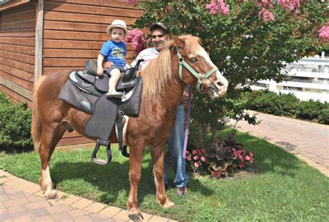 Unicorn spotting on long island! The Best Animal Farms and Petting Zoos on Long Island ...