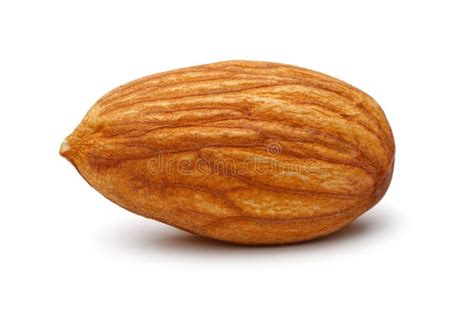 Single Almond Isolated On White Stock Photo Image Of Fruit Cracked