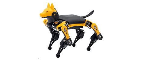 We Test Out Bittle A Pet Robot Dog That Will Teach You How To Code