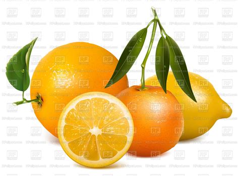 Tropical Citrus Fruits 5146 Food And Beverages Download