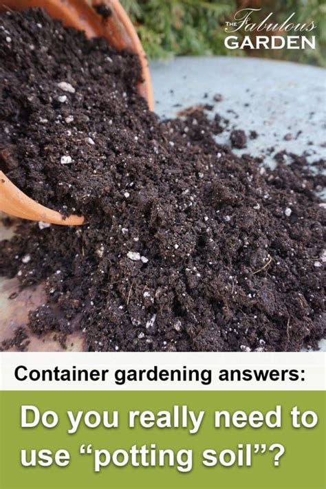 That's why it is important to contact a pest control professional at the first sign of a home invasion. Do I need to use potting soil in my pots | Potting soil ...