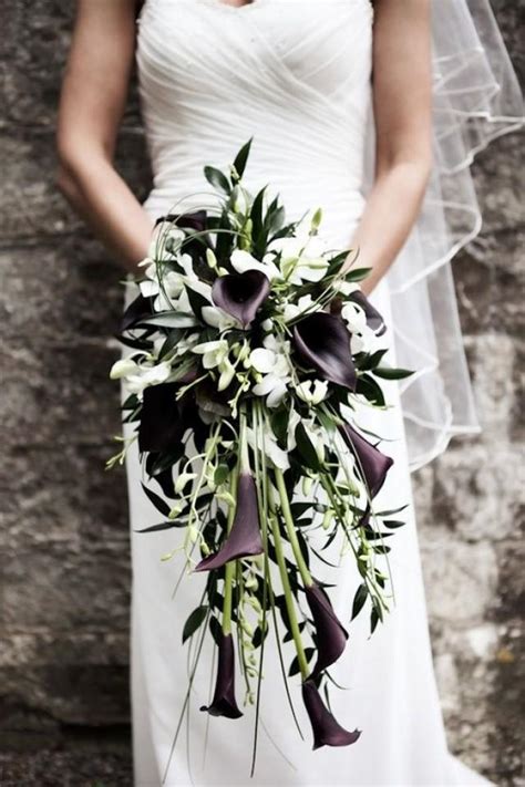 Partially black and partially white in color; Black And White Calla Lily Cascade Bouquet #2157647 - Weddbook