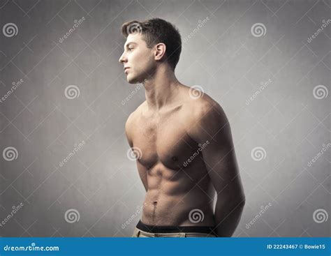 Masculinity Stock Image Image Of Pectoral Beautiful 22243467