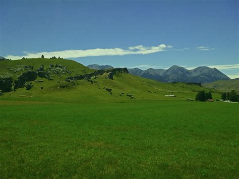 Grasslands New Zealand Photograph By Dan Dixon Fine Art America
