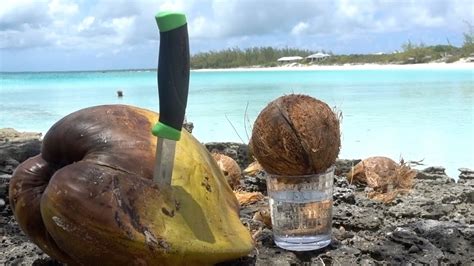 Cleaning Coconuts For Beginners Youtube