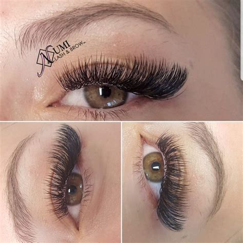 Eyelash logo template, eyelash extension concept. Cat eyes volume lash extensions | Eyelash extensions ...