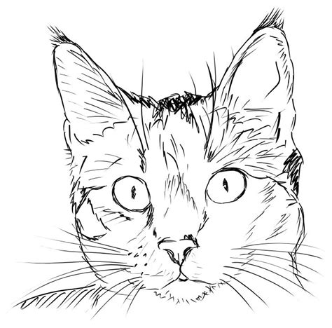 Kočka - omalovánky k vytiskutí zdarma. Omalovánky k tisku ... 1) if you have javascript enabled you can click the print link in the top half of the page and it will automatically print the coloring page only and ignore the advertising and navigation at the top of the.