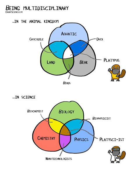 Examples Of Being Multidisciplinary An Infographic Errantscience