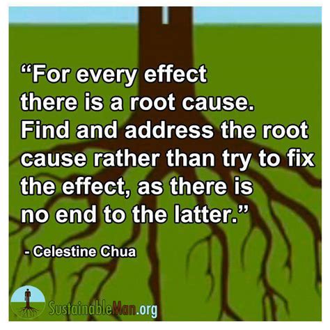 Quotes About Root Cause 79 Quotes
