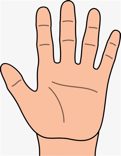 Collection Of Five Fingers PNG PlusPNG