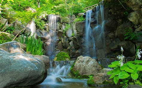 Hd Wallpaper Nature 2560x1600 Tree Forest Waterfa Waterfall Live