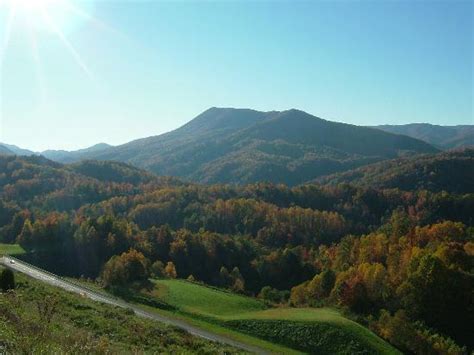 Things to do and see in tennessee include: Life in Africa: Tennessee