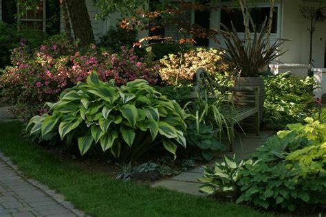 How To Plant And Grow Gorgeous Shade Loving Hosta Plants