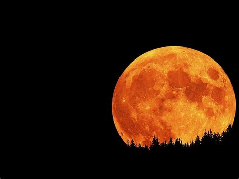 Hd Wallpaper Orange Moon Earth Night Astronomy Star Space Full