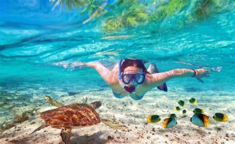 Everything You Must Know About Snorkeling In Maldives