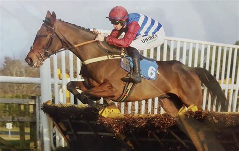 Heartbreak In The Racing Community As Beloved Racehorse Kiltealy Briggs